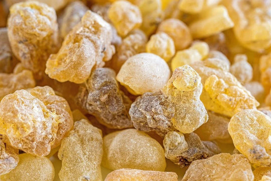 Frankincense resin in close up